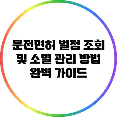 운전면허 벌점 조회 및 소멸 관리 방법 완벽 가이드