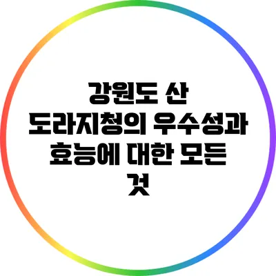 강원도 산 도라지청의 우수성과 효능에 대한 모든 것
