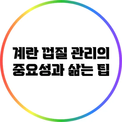 계란 껍질 관리의 중요성과 삶는 팁