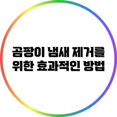 곰팡이 냄새 제거를 위한 효과적인 방법