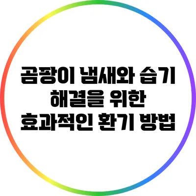 곰팡이 냄새와 습기 해결을 위한 효과적인 환기 방법