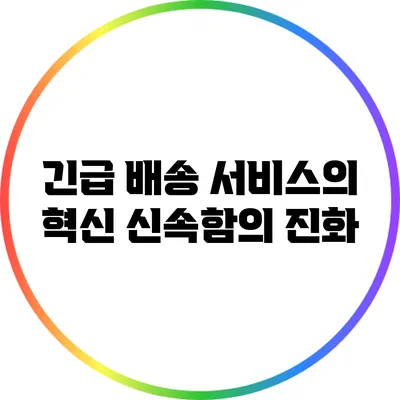 긴급 배송 서비스의 혁신: 신속함의 진화