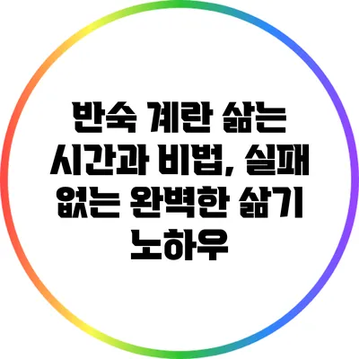 반숙 계란 삶는 시간과 비법, 실패 없는 완벽한 삶기 노하우