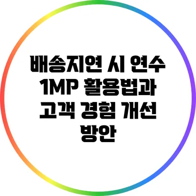 배송지연 시 연수 1MP 활용법과 고객 경험 개선 방안