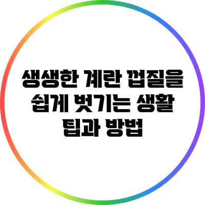 생생한 계란 껍질을 쉽게 벗기는 생활 팁과 방법