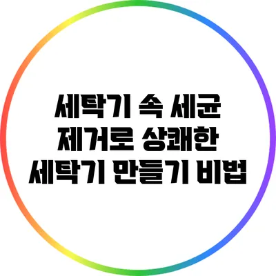 세탁기 속 세균 제거로 상쾌한 세탁기 만들기 비법