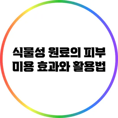 식물성 원료의 피부 미용 효과와 활용법