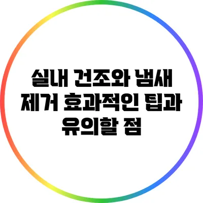 실내 건조와 냄새 제거: 효과적인 팁과 유의할 점