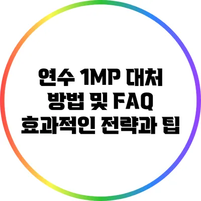 연수 1MP 대처 방법 및 FAQ: 효과적인 전략과 팁