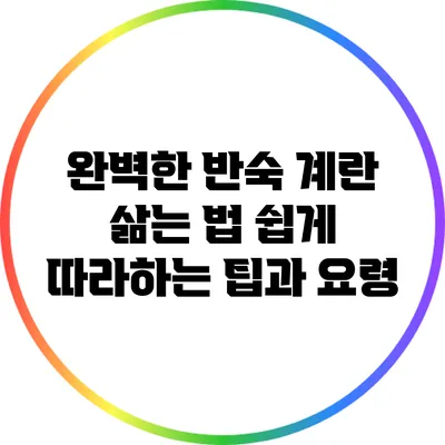 완벽한 반숙 계란 삶는 법: 쉽게 따라하는 팁과 요령