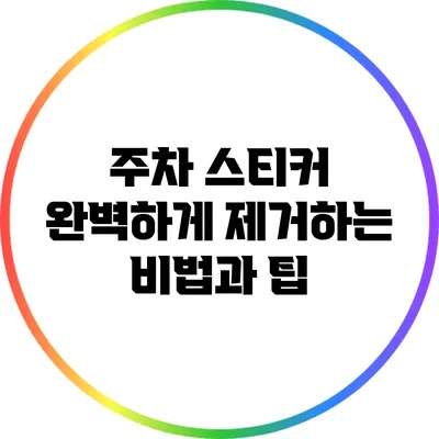 주차 스티커 완벽하게 제거하는 비법과 팁