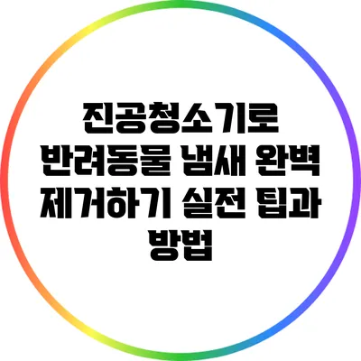 진공청소기로 반려동물 냄새 완벽 제거하기: 실전 팁과 방법
