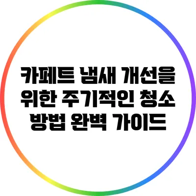 카페트 냄새 개선을 위한 주기적인 청소 방법 완벽 가이드