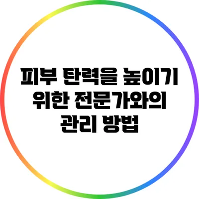 피부 탄력을 높이기 위한 전문가와의 관리 방법