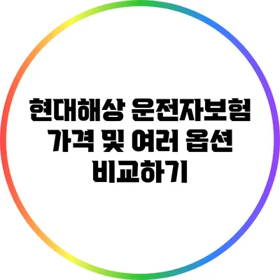 현대해상 운전자보험 가격 및 여러 옵션 비교하기