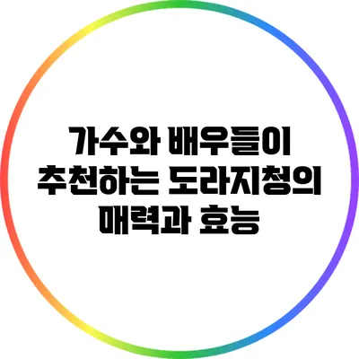 가수와 배우들이 추천하는 도라지청의 매력과 효능