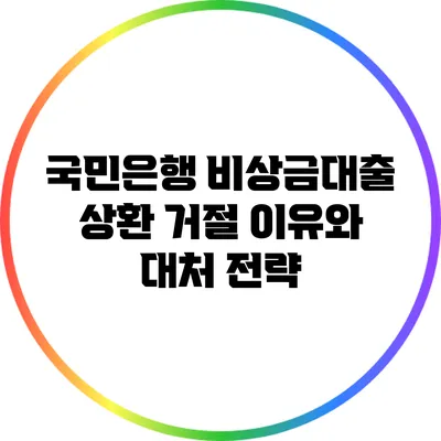 국민은행 비상금대출 상환 거절 이유와 대처 전략