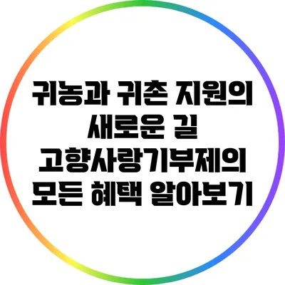 귀농과 귀촌 지원의 새로운 길: 고향사랑기부제의 모든 혜택 알아보기