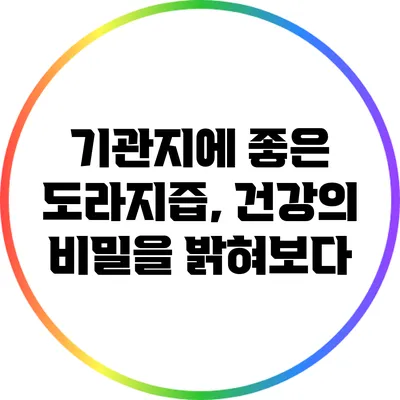 기관지에 좋은 도라지즙, 건강의 비밀을 밝혀보다