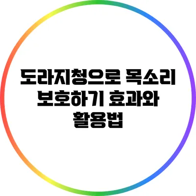 도라지청으로 목소리 보호하기: 효과와 활용법