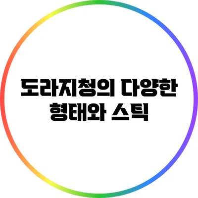 도라지청의 다양한 형태와 스틱