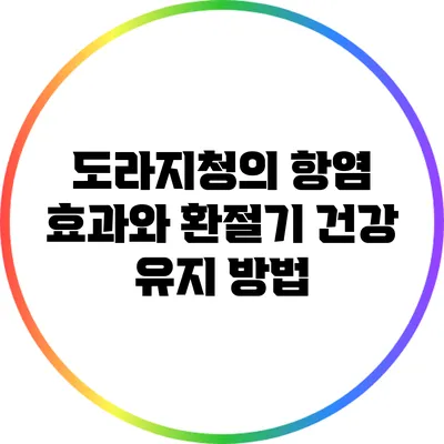 도라지청의 항염 효과와 환절기 건강 유지 방법