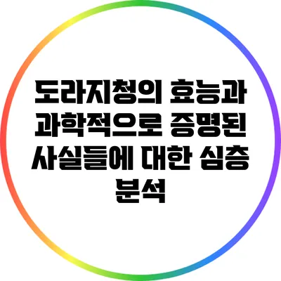 도라지청의 효능과 과학적으로 증명된 사실들에 대한 심층 분석