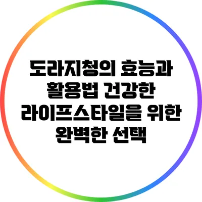 도라지청의 효능과 활용법: 건강한 라이프스타일을 위한 완벽한 선택