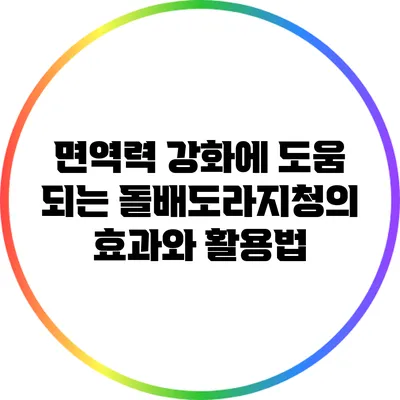 면역력 강화에 도움 되는 돌배도라지청의 효과와 활용법