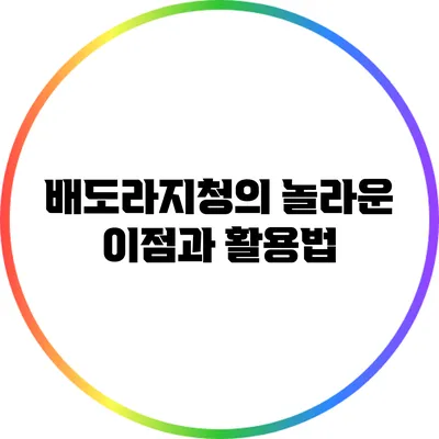 배도라지청의 놀라운 이점과 활용법