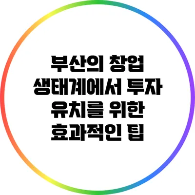 부산의 창업 생태계에서 투자 유치를 위한 효과적인 팁
