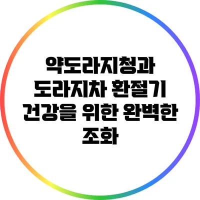 약도라지청과 도라지차: 환절기 건강을 위한 완벽한 조화