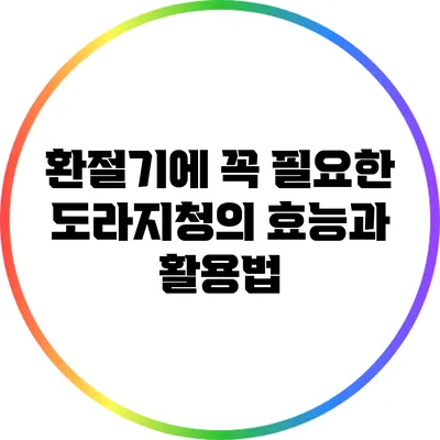 환절기에 꼭 필요한 도라지청의 효능과 활용법